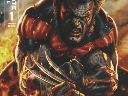 Ultimate Wolverine #1 Lee Bermejo Variant For Discount